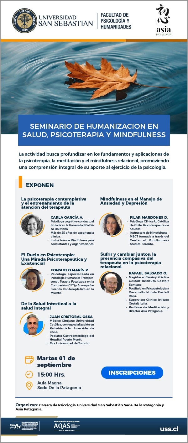 Afiche del Seminario de Humanización en Salud, Psicoterapia y Mindfulness